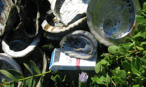 Perlemoendop: Nie net ou asbakkie